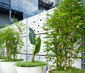 Paneles de <span class=keywords><strong>hierro</strong></span> para privacidad de jardín, cercado decorativo doble de lujo para el hogar, puertas y cercas para patios delanteros - Product Image 6