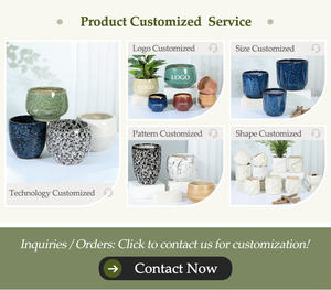 Jardinières d'intérieur modernes de haute qualité, pots en céramique pour plantes succulentes, décoration de jardin de bureau, pots à fleurs - Product Image 6