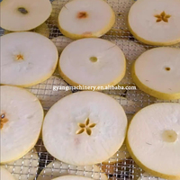 Goede kwaliteit commerciële dehydrator voor fruit en groenten, zonne-droger voor fruit en groenten