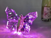Bouteille de champagne LED papillon en acrylique transparent rechargeable, glorificateur de bouteille VIP pour boîte de nuit