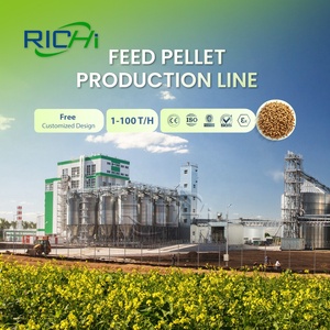 Ligne de production de granulés d'aliments RICHI 1-120T/H - Usine d'aliments personnalisée CE EPC, ligne de traitement de granulés d'aliments pour bétail et volailles - Product Image 1