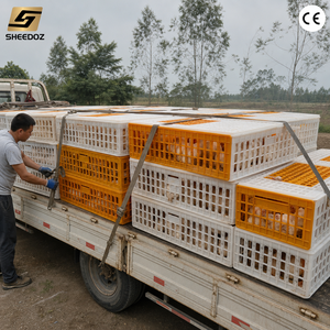 Jaula <span class=keywords><strong>de</strong></span> Transporte <span class=keywords><strong>de</strong></span> Aves <span class=keywords><strong>de</strong></span> Corral, Resistente y Apilable, para Compradores Mayoristas y Uso Agrícola - Product Image 4