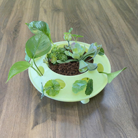 Pot de fleurs en plastique de petite taille pour plantes succulentes, forme OVNI, avec trou de drainage, décoration de bureau à domicile, couleur personnalisée