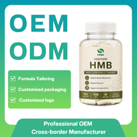 Capsules de HMB à base de plantes pour hommes et femmes, amateurs de fitness, capsules de HMB en marque privée OEM, soutien musculaire, sport