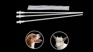 Jiangs Semen <span class=keywords><strong>Catheter</strong></span> สำหรับหมา <span class=keywords><strong>Insemination</strong></span> ประดิษฐ์ - Product Image 5