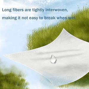 लैशुद्ध जेब पेपर 20*20*20 4 प्लाई कस्टमाइज्ड लोगो पैक चेहरे की ऊतक कुंवारी पल्प यात्रा-अनुकूल मुक्त नमूने ओएम/ओडम - Product Image 4