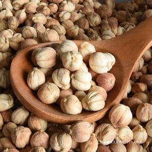 Especias y hierbas individuales sin azufre, nuez moscada seca, pimienta de Jamaica, cardamomo, Maza en patrón de bloque, procesamiento crudo sin procesamiento de anuncios - Product Image 3