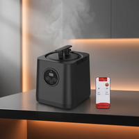 Générateur de vapeur de sauna électrique puissant de 3 l avec 9 niveaux de réglage de la température