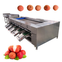 Wortel Mango Citroen Guave Kardemom Courgette Lychee Longan Okra Maïs Knoflook Sorteermachine Motor Citrusvruchten Sortering Grootte