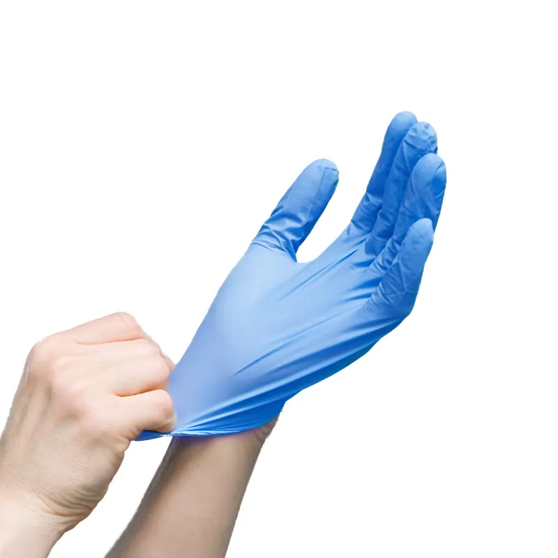 2024 China Clean Gloves Food Grade Powder Free Gloves top quality disposable glove nitrile