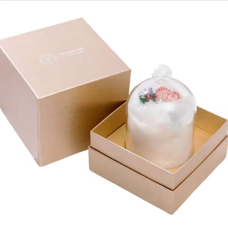 โปร่งใส 2