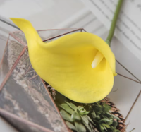 Bunga Calla Lily PU 3D Buatan, Tangkai Panjang, Dekorasi Rumah - Tahan Air, Realistis, Gaya Modern untuk Hari Ibu, Paskah & Tahun Baru