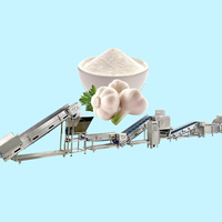 Ligne de production automatique de poudre d'ail AICNPACK machine de séchage d'usine de traitement d'ail
