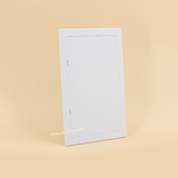 Portes d'accès conçues pour la durabilité et une installation facile/PANNEAU D'ACCÈS ABS