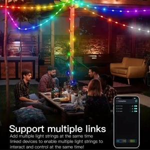 Guirnalda de Luces LED Inteligentes con Chip IC, Luces de Colores de Ensueño, USB de 5V, Direccionables, 20m/10m/5m, Decoración para Navidad, Fiestas y Música - Product Image 3