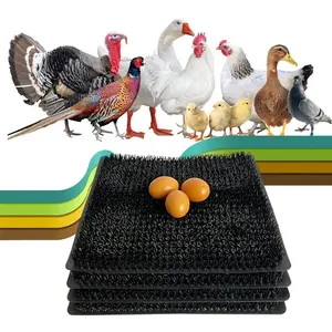 TYC-Colchoneta de nido lavable de huevo de Paloma, proveedor de gallinero de plástico negro limpio para pájaros y palomas