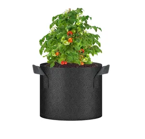 7 10 galloni pesanti idroponici coltivano borse durevoli biodegradabili tessuto Non tessuto vaso per giardinaggio Indoor