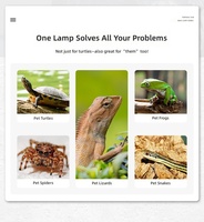 Lampe chauffante UVA pour animaux d'élevage, ampoule halogène à spectre complet UVBUVA en verre, dimmable, pour tortue, lumière du soleil, calcium