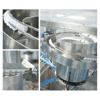 Petite machine de remplissage et de bouchage automatique hydraulique à 2 têtes en acier inoxydable pour sachets à bec verseur Doypack pour boissons liquides en plastique/papier