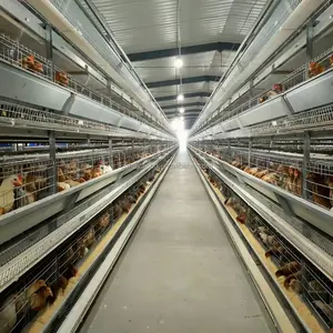 wholesale price from factory battery cages laying hens for sell