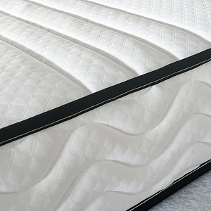 Barato blanco fino 5/6/7 pulgadas Twin Single Size Coir Spring Coil colchón - Product Image 3