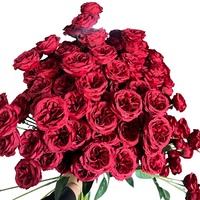 Fleurs artificielles en soie Austin Rose, 6 têtes, mini-rose artificielle, tiges pour arrangements floraux d'hôtels, mariages, salles de réception