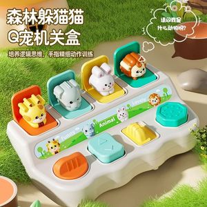 Boîte de puzzle à cachettes pour bébés de 0 à 1 an, jouet à interrupteur pop-up en plastique, cube d'activités éducatives précoces, unisexe - Product Image 3