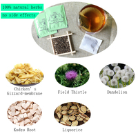 Thé Détoxifiant aux Herbes Vertes Naturelles Winstown Herbs au Pissenlit, Marque Privée