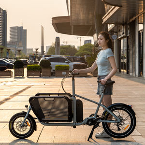 Bicicleta de carga de 9 velocidades con horquilla de aluminio con cambio de marchas interno y <span class=keywords><strong>desviador</strong></span> giratorio de cesta delantera - Product Image 6