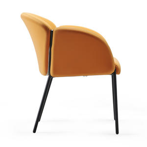 Pieds métalliques de styliste d'<span class=keywords><strong>italie</strong></span>, chaise de loisirs, ensemble de meubles de salon, restaurant, couloir, offre spéciale - Product Image 6