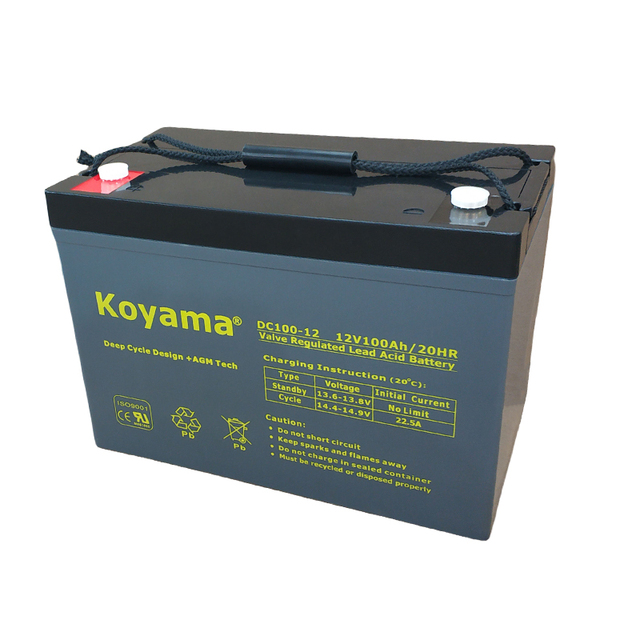 Koyama Deep Cycle AGM Battery 12V100Ah Sealed Maintenance Free Batteries DC100-12 Recreational Vehicles Battery