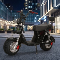 Scooter électrique Citycoco 1000W 1500W 3000W 60V en alliage d'aluminium, étanche, pour adultes, longue autonomie, pour les trajets en ville