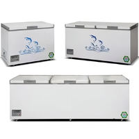 Réfrigérateur de cuisine moderne 220 V, congélateur coffre commercial pour supermarché, équipement de réfrigération, congélateurs