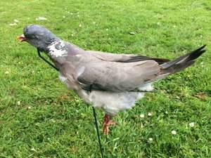 Kandang Merpati Burung Mati, Pemikat Merpati Logam untuk Berburu Burung - Product Image 3