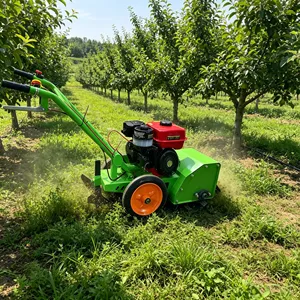 Motoculteur compact 170F à essence pour l'aération des sols maraîchers, <span class=keywords><strong>entretien</strong></span> simple - Product Image 4