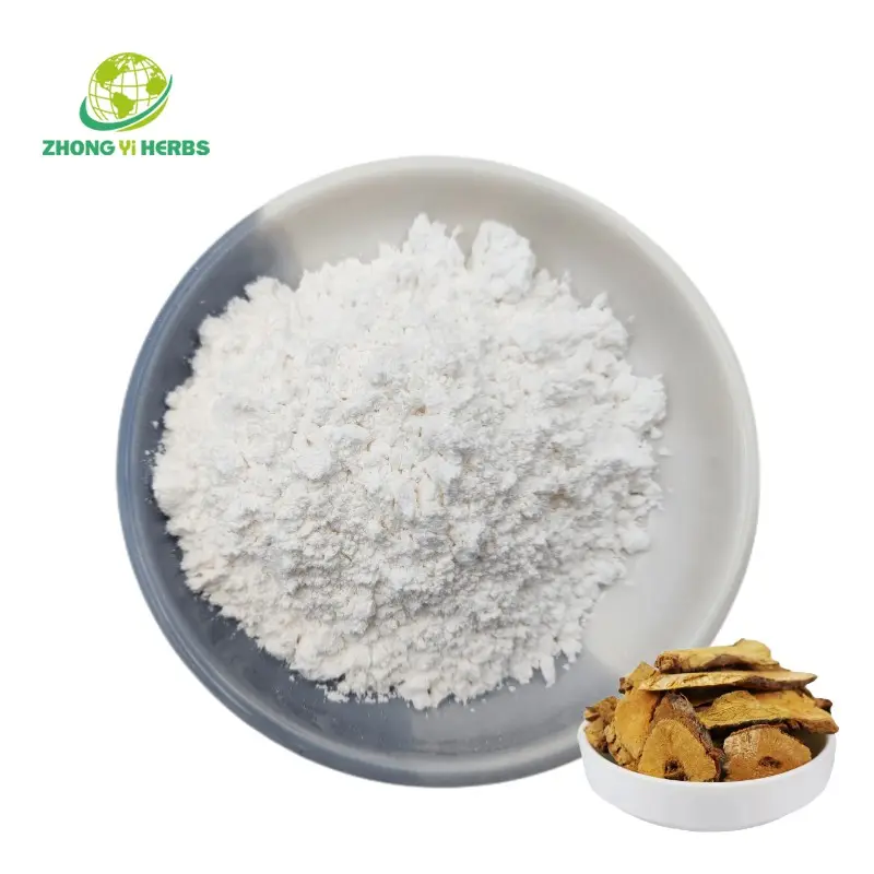 Natuurlijk Polygonum Cuspidatum Extract Gigantische Duizendknoop Extract Poeder 98% Resveratrol