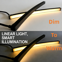 Bande LED noire Ra95 pour chambre d'hôtel 24V 1800K-3000K DTW en silicone noir, flexible, IP67, dimmable pour éclairage de façade d'appartement/cinéma