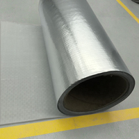 Feuille d'aluminium souple réfléchissante Film d'emballage métallisé étanche à l'humidité Isolation des bulles d'air pour l'industrie pour les légumes