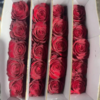 Rangkaian Bunga Mawar Merah Highland Segar Alami Model SR-018 20 Kelopak Bunga Dounan Pusat Bunga Populer Asia Hari Valentine