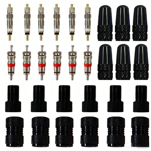 Kit de Válvulas Presta OEM-CG con Adaptador y Llave, Convertidor de Presta a Schrader, Juego de Herramientas de Reparación de Bicicletas para Bicicletas de Carretera y MTB - Product Image 6
