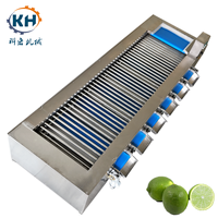 KH Commerciële Automatische Ecologische Fruit-, Groente- en Notengrootte Sorteermachine met 1 Jaar Garantie 220V/380V