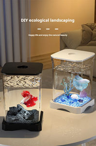 Acuario de pecera de plástico rectangular moderno para decoración de oficina <span class=keywords><strong>con</strong></span> servicios de fabricación de Bettas y Guppies incluidos - Product Image 5