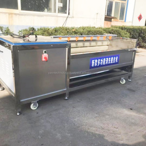 Brosse à fruits et légumes Équipement de lavage Nettoyeur de manioc Laveuse à gingembre Machine à éplucher les pommes de terre industrielle - Product Image 3