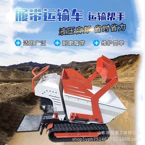 Mini Camión Volquete con Capacidad de Carga de 500 kg, Autocargable Hidráulico para Obras de Construcción - Product Image 5