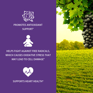 Extracto <span class=keywords><strong>de</strong></span> Semilla <span class=keywords><strong>de</strong></span> Uva OPC <span class=keywords><strong>de</strong></span> Alta Potencia - Cápsulas <span class=keywords><strong>de</strong></span> 400 mg con 98% <span class=keywords><strong>de</strong></span> Polifenoles Estándarizados, Marca Privada y Pedidos al por Mayor Disponibles - Product Image 4