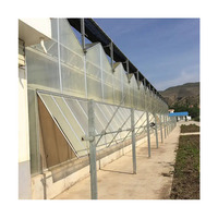 Vente directe en usine Grande serre de jardin avec cadre en aluminium et toit en polycarbonate pour la culture de légumes