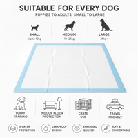 Tapis d'entraînement pour chiens robustes et écologiques, directement de l'usine, avec noyau en pâte de cellulose et SAP, absorption rapide, support imperméable IPX7, en vrac