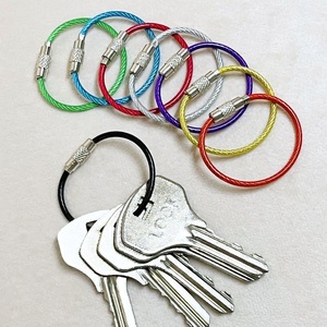 Keychain Tag Rope Metal Wire <b>Cable</b> Loop Screw <b>Lock</b> Gadget Ring Key Keyring Circle Camp Fittings - Product Image 1