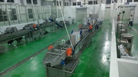 Machine à laver et à laver les fruits et légumes, ligne de Production de légumes, entièrement de haute qualité