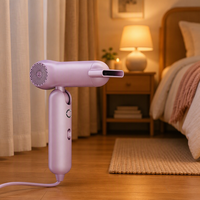 Sèche-cheveux électrique portable pliable super mini professionnel haute vitesse 900W avec moteur DC et buse concentratrice
